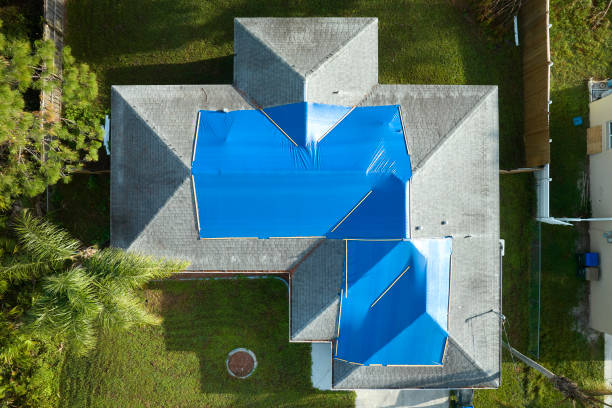 Best Roof Ventilation Installation  in Argentine, MI