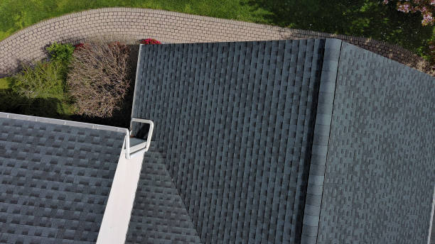 Best Commercial Roofing Services  in Argentine, MI