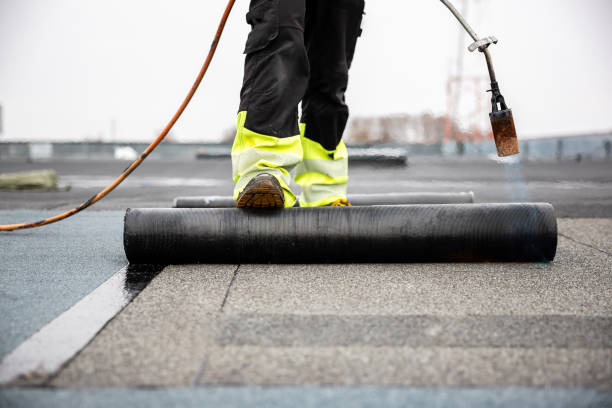 Best Roof Moss and Algae Removal  in Argentine, MI
