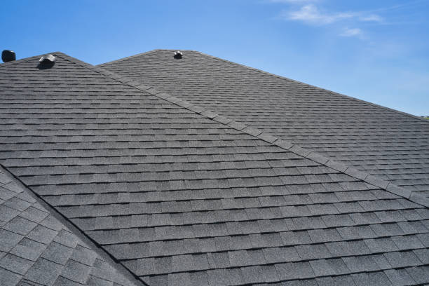 Best Roof Coating and Sealing  in Argentine, MI