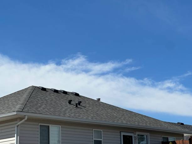 Best Gutter Installation and Repair  in Argentine, MI